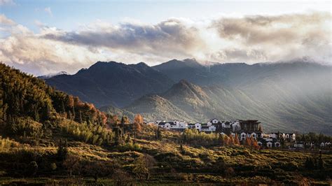 安徽常年的天氣如何，是否會影響到當地的茶葉品質？